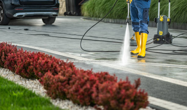 Best Driveway Pressure Washing  in Hughes Springs, TX